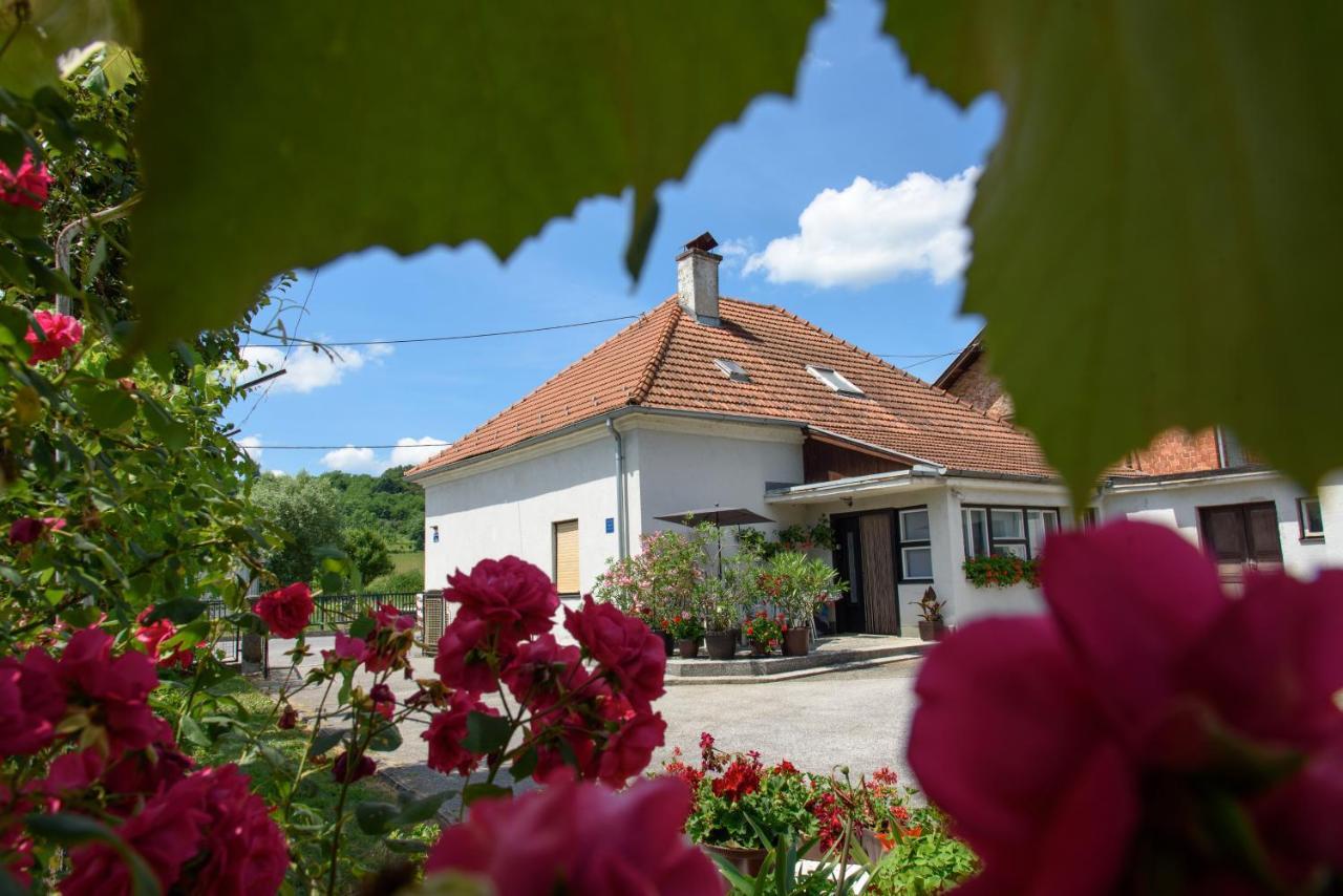 Apartment Mia Donja Pacetina Zewnętrze zdjęcie