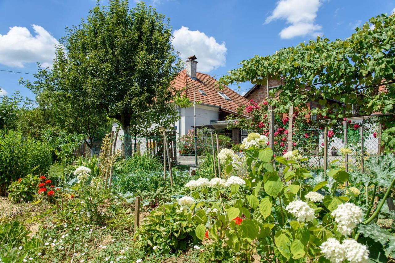 Apartment Mia Donja Pacetina Zewnętrze zdjęcie